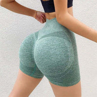 Elite Sculpt High-Waist Pro Shorts