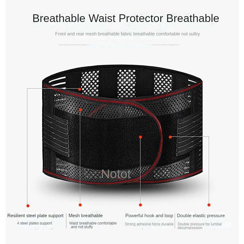 Waist Trainer Belt - FitnessPlowSurge